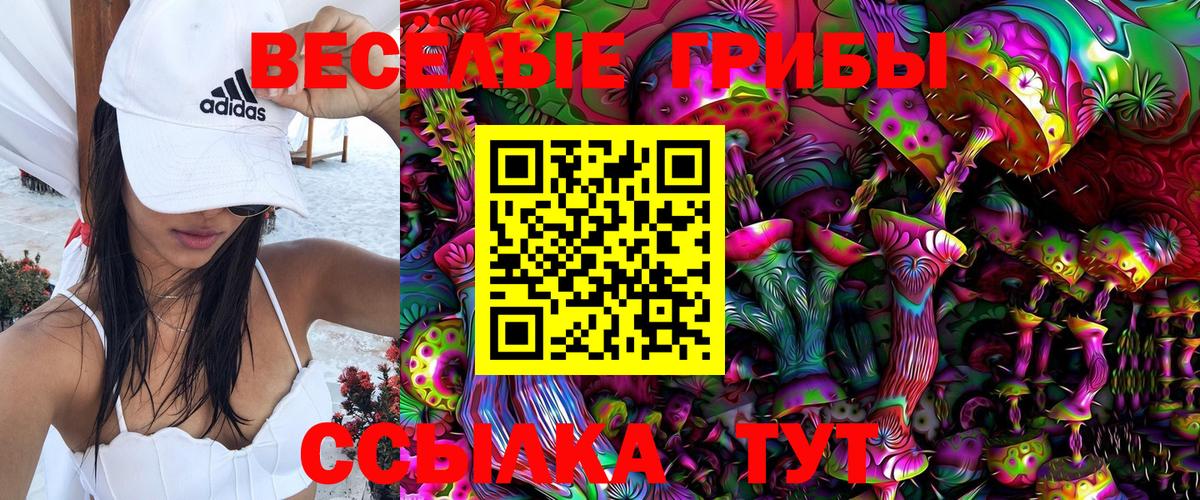 Псилоцибиновые грибы мицелий Трёхгорный